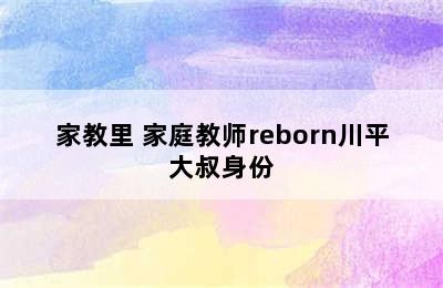 家教里 家庭教师reborn川平大叔身份